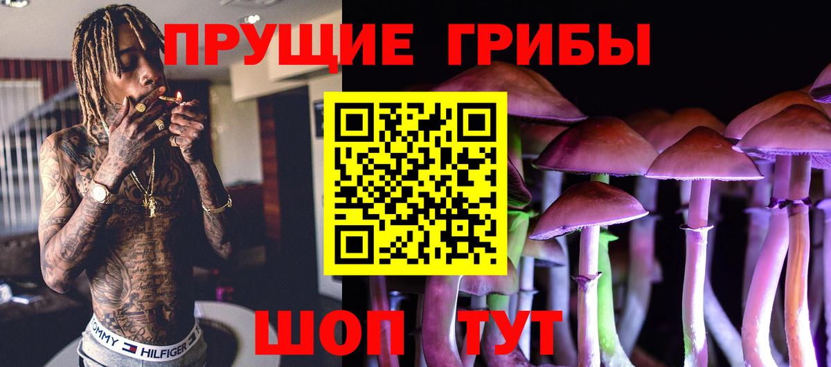Чебоксары  Псилоцибиновые грибы прущие грибы  Вход с VPN 