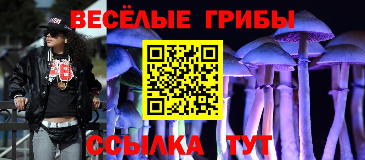 Псилоцибиновые грибы мицелий Чебоксары